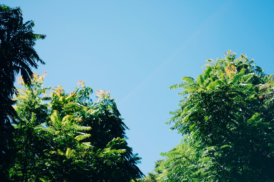 Berkeley, Irvine, Los Angeles, health, medicine, environment