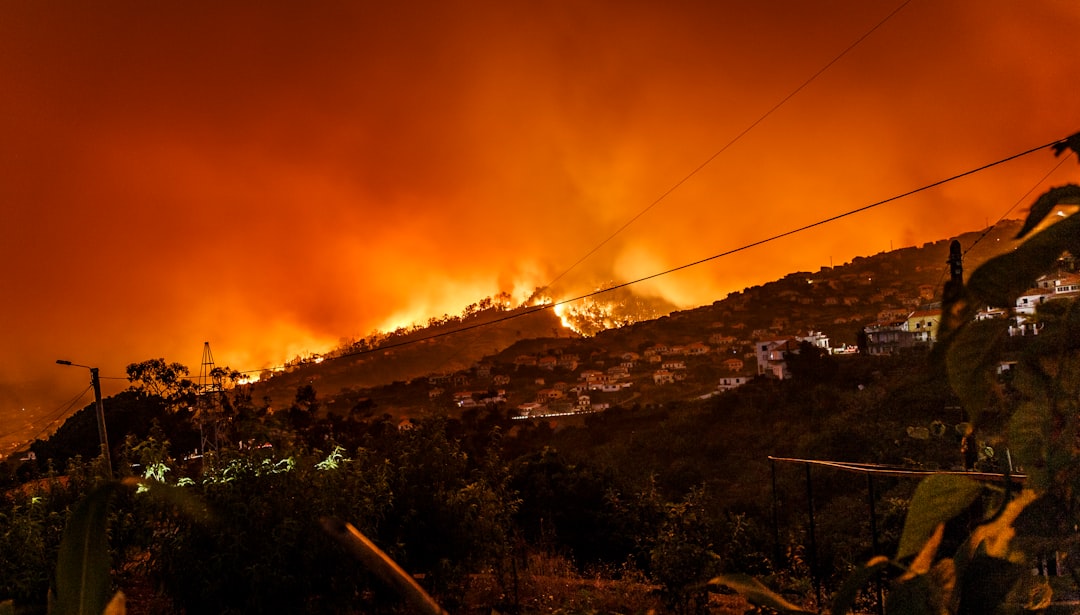 Los Angeles, insurance, wildfire, legal, consumer