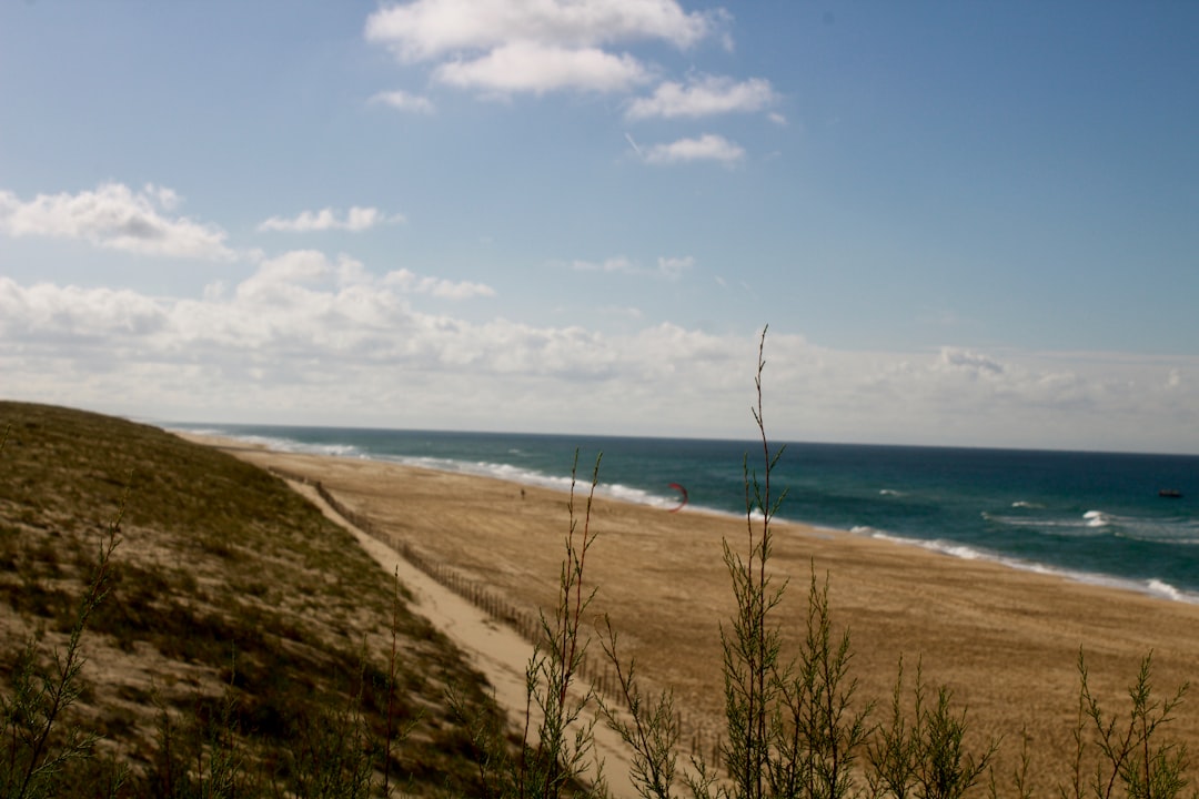 August, Monterey, Carmel-by-the-Sea, Salinas, economy, tourism, events