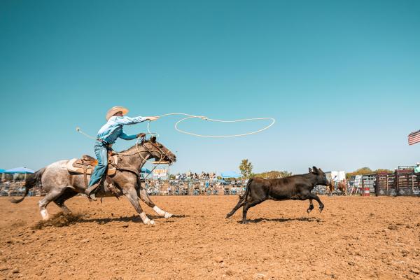Rodeo, Santa Maria, events, community, culture, parade
