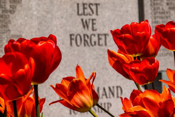 Mojave, events, community, memorial