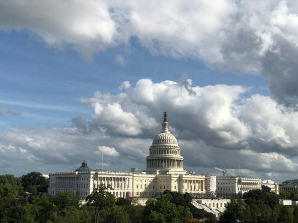 politics, national security, government