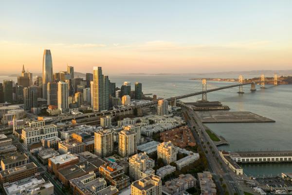 Fat Cat x the Mantis Brings Low-Key Wine Vibes to San Francisco's Mission-Bernal